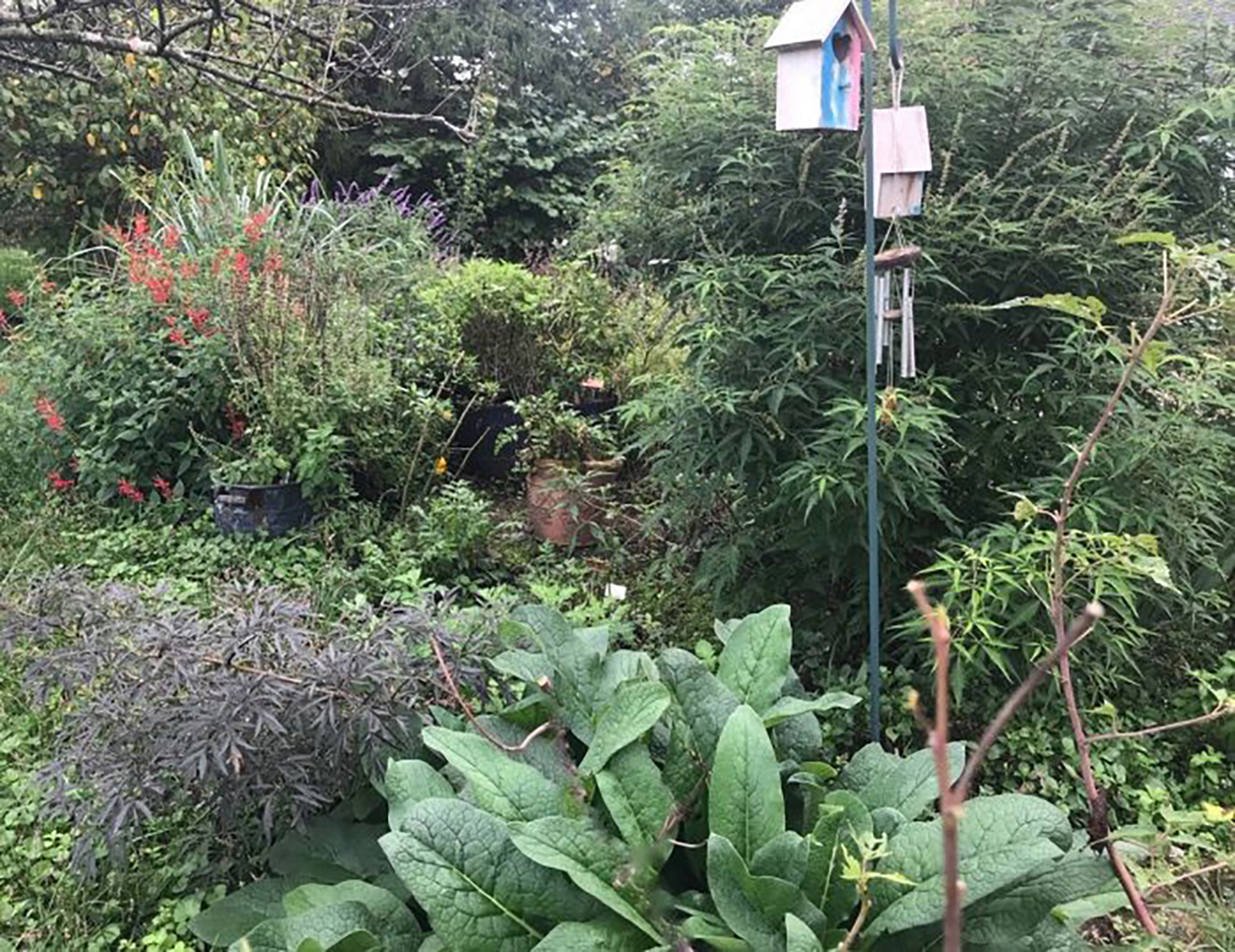 A Simpling Garden Offers DIY Herbal Remedies